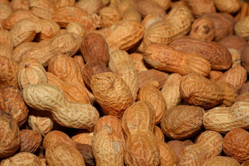 Healthy Snack Image